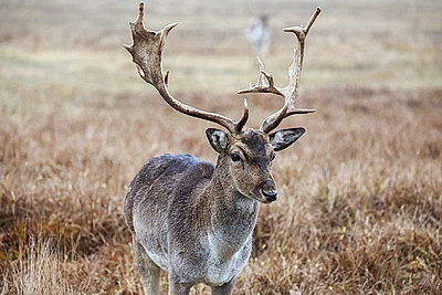 ФОТОХРОНИКА начинает новый информационный день