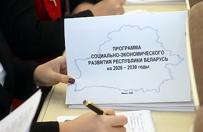 Минэкономики: программа соцэкономразвития до 2030 года строилась на масштабных опросах общественного мнения