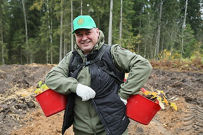 Молодой смешанный лес из более 4,5 тыс. растений высадили в Витебском районе на республиканском субботнике