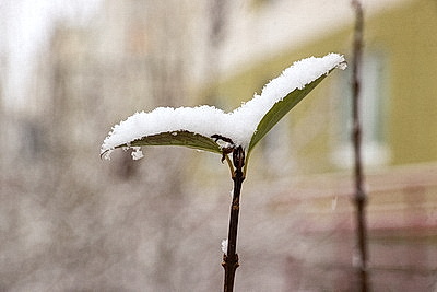 ФОТОХРОНИКА начинает новый информационный день