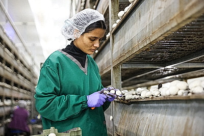 Законопроект по вопросам внешней трудовой миграции должен поступить на рассмотрение депутатов в 2026 году