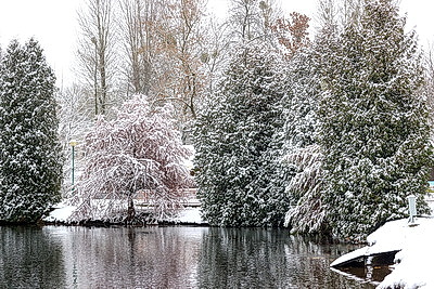 Настоящая зима пришла в Беларусь
