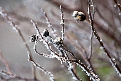 ФОТОХРОНИКА начинает новый информационный день