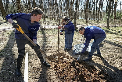 Аллею Памяти городов-героев высадили в столичном парке Победы
