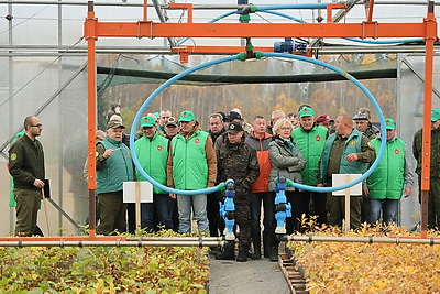 Молодой смешанный лес из более 4,5 тыс. растений высадили в Витебском районе на республиканском субботнике