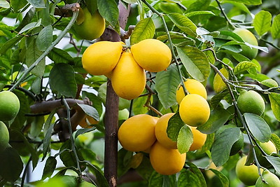 Белорусские ученые создают инновационные препараты для медицины и сельского хозяйства