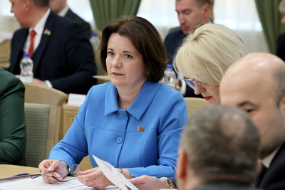 Законопроект о признании квалификации обсуждается на Экспертном совете при Совете Республики