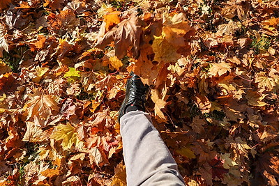 Золотые краски осени