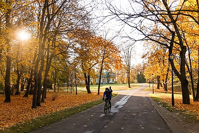 Золотые краски осени