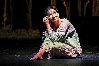 Спектакль \"Корова\" представил Брестский театр кукол на конкурс театрального искусства