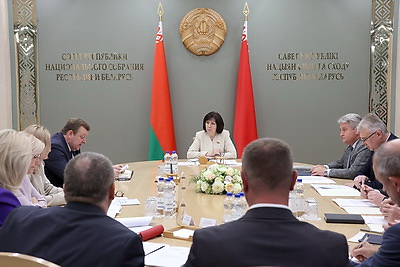 Законопроект по вопросам административной ответственности рассмотрен на заседании экспертного совета
