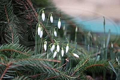 ФОТОХРОНИКА начинает новый информационный день