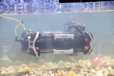 Делегаты ВНС из разных регионов страны посетили выставку \"Моя Беларусь\"