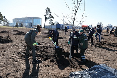 Лукашенко во время субботника высадил деревья в парке Народного единства