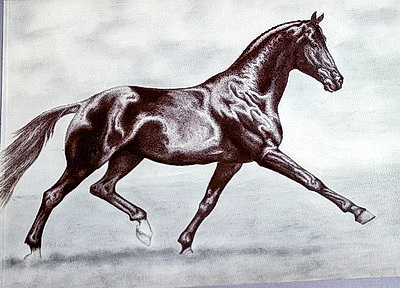 \"Лошадь - человеку крылья!\" Выставка творческих работ открылась в Гомеле