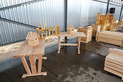 Лукашенко ознакомился с комплексным развитием территории Березинского биосферного заповедника