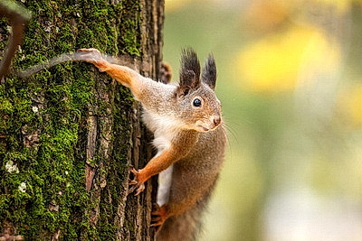 ФОТОХРОНИКА начинает новый информационный день