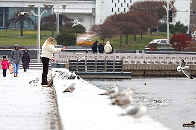 Настоящая зима пришла в Беларусь