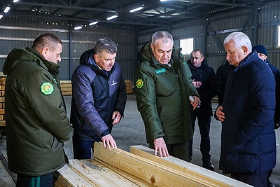 Производства по выпуску поддонов намерены наладить в Дрогичинском и Лунинецком лесхозах
