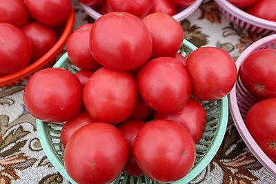 Сельскохозяйственные ярмарки стартовали в Минске