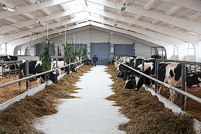 Серьезная перезагрузка отрасли: девять новых МТК появилось в Могилевской области в 2025 году