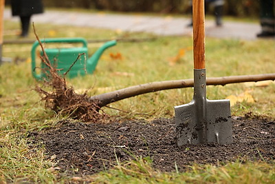 Республиканский субботник проходит в Минске