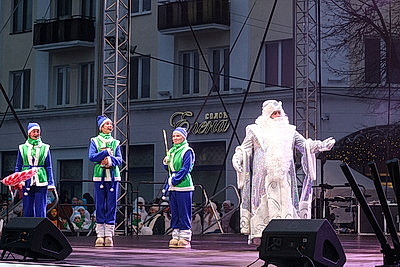 Огни зажгли на главной елке Бреста