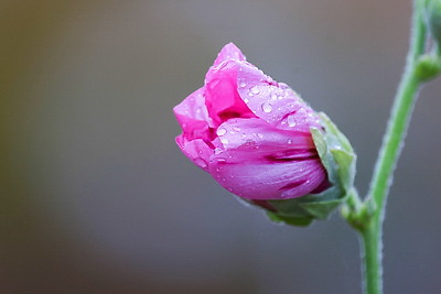 ФОТОХРОНИКА начинает новый информационный день