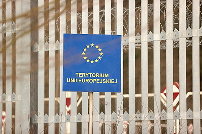 Представители международных организаций оценили влияние польского забора на Беловежскую пущу