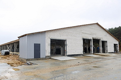 Три крупных животноводческих комплекса строят в Брестском районе