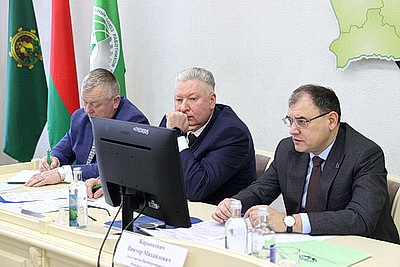 Завершить разработку ветроломов и восстановить лес после июльского урагана. Сроки и объемы обсудили в Жлобине