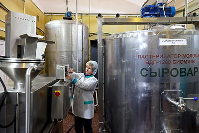 Сливочное масло начнет выпускать частная сыроварня в Городке до конца 2025 года