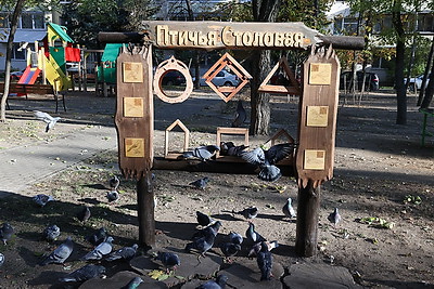 Гражданские инициативы. Опыт работы ТОС рассмотрены на выездном заседании Совета Республики