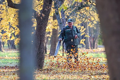 Золотые краски осени