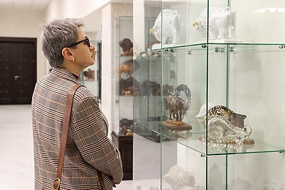 Музей с уникальной коллекцией зубров появился в Бресте