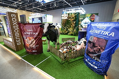 Делегаты ВНС из разных регионов страны посетили выставку \"Моя Беларусь\"