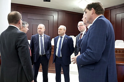 Развитие электроэнергетики и газификации населенных пунктов обсуждают в Палате представителей