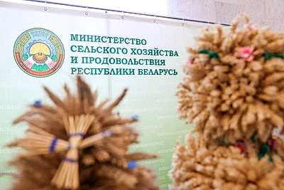 Министр сельского хозяйства о завершении уборочной кампании