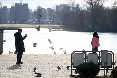 До +11°С в январе. Погода в Бресте радует горожан