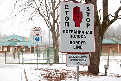 Представители международных организаций оценили влияние польского забора на Беловежскую пущу