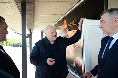 Лукашенко посетил производство сыров и пекарню в Копыси