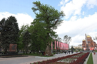 Города мира. Волгоград