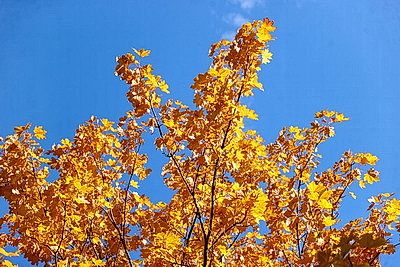 ФОТОХРОНИКА начинает новый информационный день