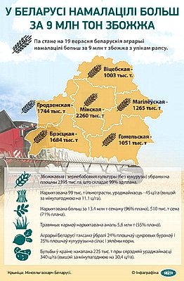 Инфографика. В Беларуси намолотили более 9 млн тонн зерна