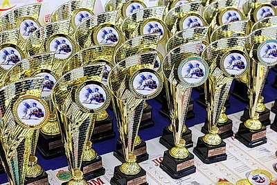 Турнир по дзюдо памяти Сергея Ушакова проходит в Витебске