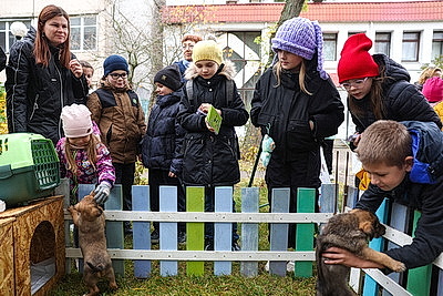 Чтобы улицы города стали чище: жители Минска и Могилева приняли участие в субботнике
