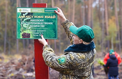 Задел на будущее, важный ресурс для следующих поколений. Карпенко об акции \"Дай лесу новае жыццё!\"