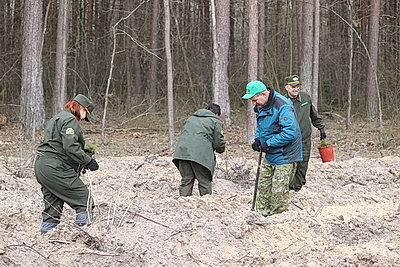 Молодые деревца на 400 га высадят в Брестской области во время акции \"Дай лесу новае жыццё!\"