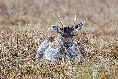ФОТОХРОНИКА начинает новый информационный день