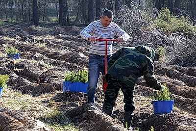 К акции \"Дай лесу новае жыццё\" присоединились представители Могилевского облисполкома